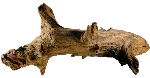 Kienwurzel 30-40 cm, Wurzel, Dekoration für Aquarium und Terrarium