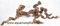 3 x Weinrebe 30-40 cm für Terrarium, Wurzel, Reben