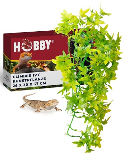 Hobby Climber Ivy - 37 cm
