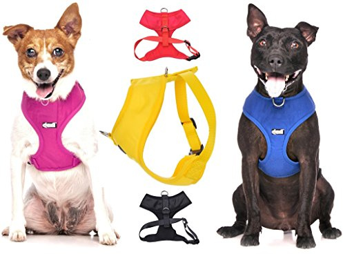 Dexil Elite Range Luxury Padded Waterproof Adjustable Back and Front Ring Non-Pull Small Pet Dog Vest Harness (Liquorice Black, Small 36-58cm Chest)