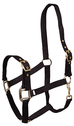 Premiere Halfter, Farbe:schwarz, Groesse:Cob