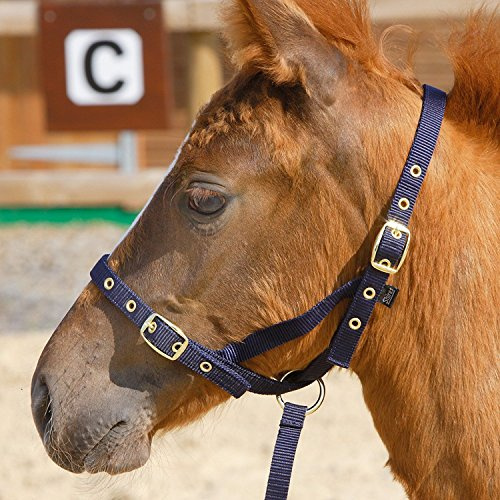Shires Nylon Foal Slip
