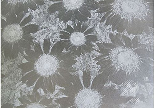 TipTopCarbon 6,57€/m² Fenster Sichtschutzfolie Milchglasfolie Flower 152cm Breite Fensterfolie Design Dekofolie Folie Selbstklebend