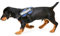 Julius K9 16IDC-B-B1 IDC-Powergeschirr mit Logofeld, Baby 1, blau