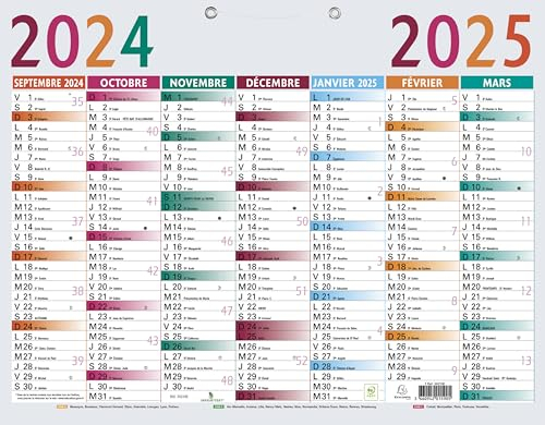 Exacompta - 34210E - Calendrier Multicolore - 43 x 33,5 cm - Septembre 2025 à septembre 2026 - Multicolore
