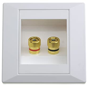 FamilyMall (TM Wall Plate Wall Mount box Port with 2 Bushings for Banana Plug Speaker