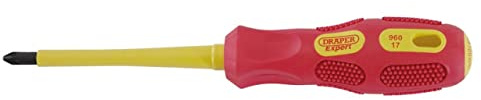 Draper 69229 No. 2 x 100 mm Pozidriv-Type Screwdriver , Blue