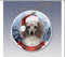 Holiday Pet Gifts Christbaumschmuck aus Porzellan, Motiv Pudel, Weihnachtsmütze, silberfarben