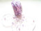 CaPiSo 10m Schleifenband 3-teilig mit Organza und 4mm Perlen Dekoband Trendyband Perlenband Perlen am Band (Flieder)