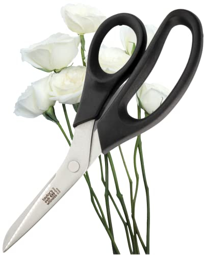 Taylor 's Eye Witness – Tijeras de cocina para zurdos