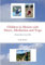 Children in Motion with Dance, Meditation and Yoga: Includes Basic Lesson Plan