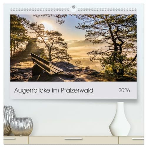 Augenblicke im Pfälzerwald (hochwertiger Premium Wandkalender 2026 DIN A2 quer), Kunstdruck in Hochglanz: Wunderbare Augenblicke im Pfälzerwald, eingefangen zum Träumen. (CALVENDO Natur)