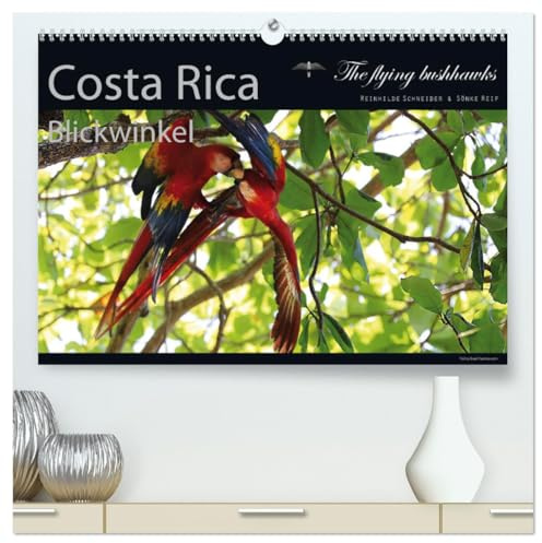 Costa Rica Blickwinkel 2026 (hochwertiger Premium Wandkalender 2026 DIN A2 quer), Kunstdruck in Hochglanz: Costa Rica - flying bushhawks Blickwinkel Kalender (CALVENDO Orte)