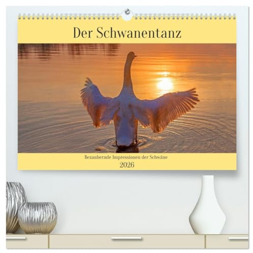 Der Schwanentanz (hochwertiger Premium Wandkalender 2026 DIN A2 quer), Kunstdruck in Hochglanz: Bezaubernde Impressionen der Schwäne (CALVENDO Tiere)