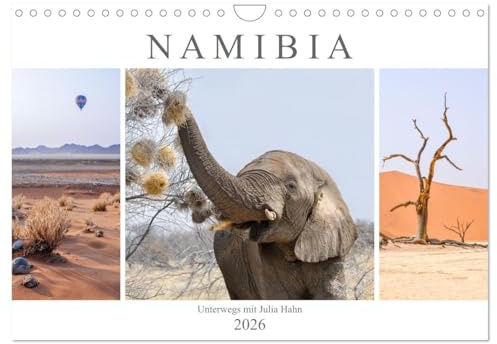Namibia - unterwegs mit Julia Hahn (Wandkalender 2026 DIN A4 quer), CALVENDO Monatskalender: Namibia ist ein Land voller Kontraste, in dem es ... Wildtiere zu entdecken gibt. (CALVENDO Natur)