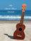 My Ukulele Music Notebook