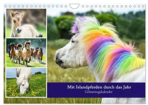 Mit Islandpferden durch das Jahr Geburtstagskalender (Wandkalender 2025 DIN A4 quer), CALVENDO Monatskalender: Islandpferde, Termine, Geburtstage, Events (CALVENDO Tiere)