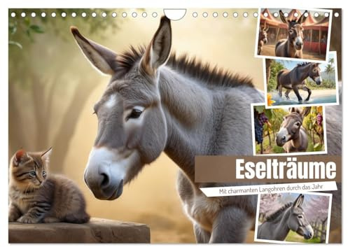 Eselträume (Wandkalender 2026 DIN A4 quer), CALVENDO Monatskalender: Wunderschöne Eselmotive (CALVENDO Tiere)