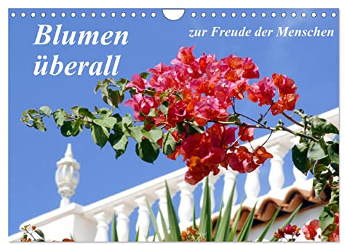 Blumen überall, zur Freude Menschen (Wandkalender 2026 DIN A4 quer), CALVENDO Monatskalender: Schönheit der Blumen (CALVENDO Natur)