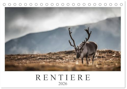 Rentiere (Tischkalender 2026 DIN A5 quer), CALVENDO Monatskalender: Rentiere aus Nordnorwegen & Spitzbergen (CALVENDO Tiere)