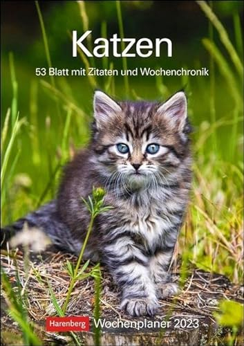 Katzen Wochenplaner. Wandkalender 2023 mit Platz für Notizen und vielen süßen Katzenfotos. Tierkalender 2023 mit praktischer Wochenansicht. Hochformat 25x36 cm: 53 Blatt mit Zitaten und Wochenchronik