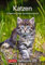 Katzen Wochenplaner. Wandkalender 2023 mit Platz für Notizen und vielen süßen Katzenfotos. Tierkalender 2023 mit praktischer Wochenansicht. Hochformat 25x36 cm: 53 Blatt mit Zitaten und Wochenchronik