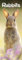 Rabbits – Kaninchen 2025: Original Avonside-Kalender – Slimline [Mehrsprachig] [Kalender] (Slimline-Kalender)