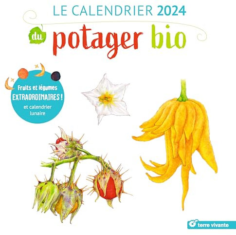 Le calendrier 2024 du potager bio: Fruits et légumes extraordinaires