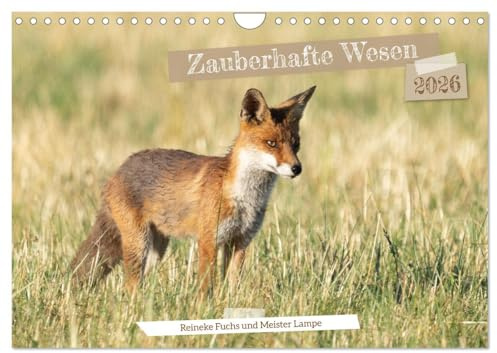 Zauberhafte Wesen - Reineke Fuchs und Meister Lampe (Wandkalender 2026 DIN A4 quer), CALVENDO Monatskalender: Zauberhafte Fotos von Fuchs und Feldhase in freier Natur. (CALVENDO Tiere)
