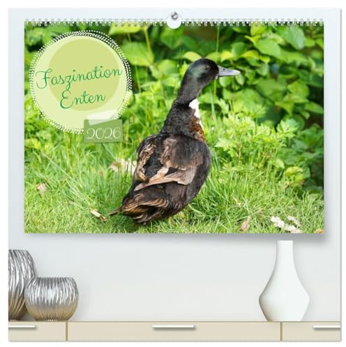 Faszination Enten (hochwertiger Premium Wandkalender 2026 DIN A2 quer), Kunstdruck in Hochglanz: Farbenfrohe Stockenten auf der Wiese und im Wasser (CALVENDO Tiere)