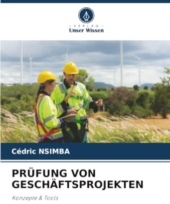 PRÜFUNG VON GESCHÄFTSPROJEKTEN: Konzepte & Tools
