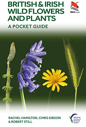British and Irish Wild Flowers and Plants: A Pocket Guide (WILDGuides of Britain & Europe, 48)