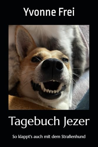Tagebuch Jezer: So klappt's auch mit dem Straßenhund