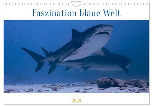 Faszination blaue Welt (Wandkalender 2026 DIN A4 quer), CALVENDO Monatskalender: Tauche ein in eine geheimnisvolle Welt mit schillernden Farben und skurrilen Formen (CALVENDO Tiere)