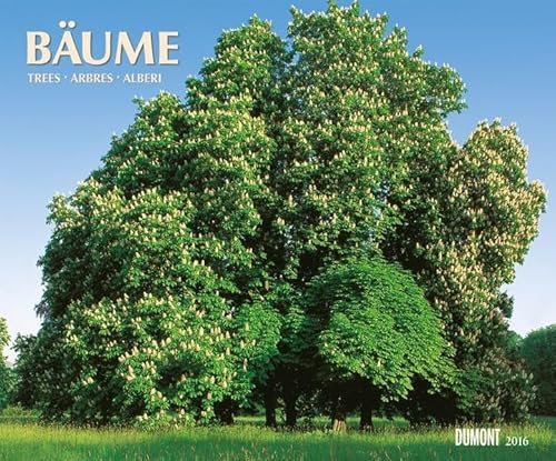 Bäume 2016: Trees; Arbres; Alberi. Fotokunst-Kalender