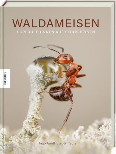 Waldameisen: Superheldinnen auf sechs Beinen. Naturfotografie-Bildband mit einmaligen Einblicken in das Leben der Insekten