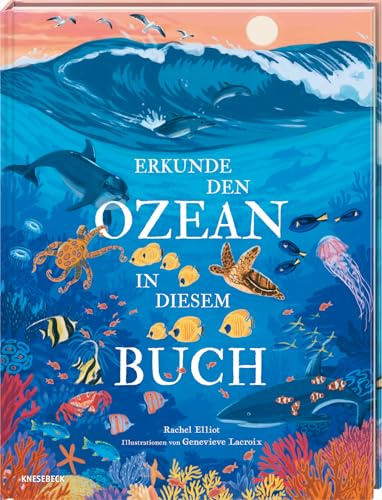Erkunde den Ozean in diesem Buch: Kinderbuch ab 6 Jahren über Meerestiere, Wale, Haie, Korallenriffe & die faszinierende Unterwasserwelt der Ozeane