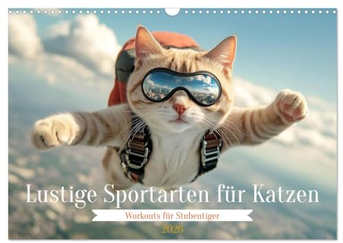 Lustige Sportarten für Katzen (Wandkalender 2026 DIN A3 quer), CALVENDO Monatskalender: Workouts für Stubentiger (CALVENDO Spass)