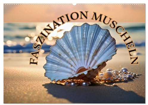 Faszination Muscheln (Wandkalender 2026 DIN A2 quer), CALVENDO Monatskalender: Die geheimnisvolle Schönheit der Meere entdecken (CALVENDO Natur)