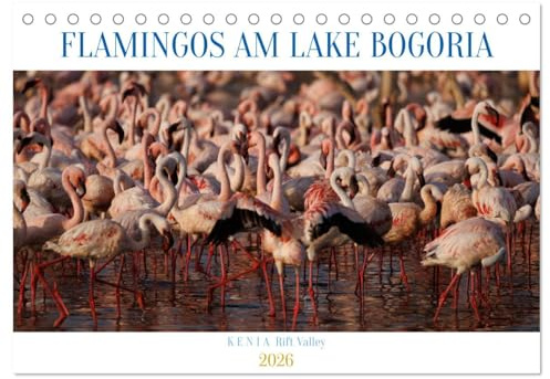 Flamingos am Lake Bogoria - Kenia (Tischkalender 2026 DIN A5 quer), CALVENDO Monatskalender: Flamingos am Lake Bogoria Rift Valley Kenia (CALVENDO Natur)
