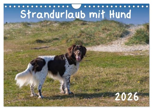 Strandurlaub mit Hund (Wandkalender 2026 DIN A4 quer), CALVENDO Monatskalender: Eine bunte Mischung vierbeiniger Standurlauber an der Nordsee (CALVENDO Tiere)