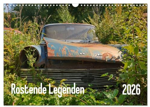 Rostende Legenden (Wandkalender 2026 DIN A3 quer), CALVENDO Monatskalender: Rostende Käfer und T1 Bullis in einem vergessenen Wald (CALVENDO Mobilitaet)