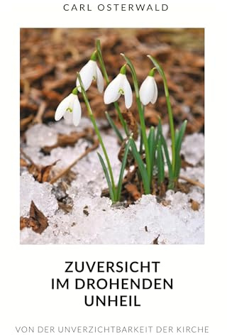 Zuversicht im drohenden Unheil: Von der Unverzichtbarkeit der Kirche