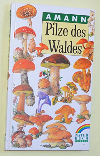 Pilze des Waldes. ( Teilausgabe von: Bodenpflanzen des Waldes)