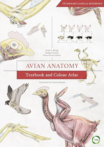 Avian Anatomy, 2nd Edition: Textbook and Colour Atlas (5M) Clinically Oriented Veterinary Reference for Ornamental Birds, Poultry, Raptors, and Wild Birds (Veterinary Atlases)
