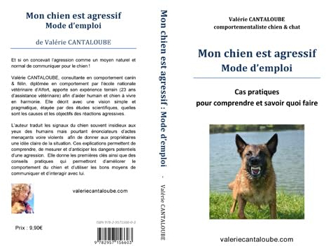 Mon chien est agressif Mode d'emploi