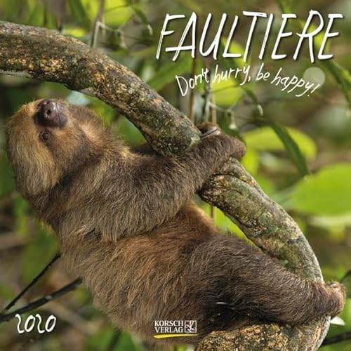 Faultier 2020: Broschürenkalender mit Ferienterminen. Format: 30 x 30 cm