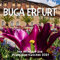 BUGA Erfurt: Der Bildband zur Bundesgartenschau 2021