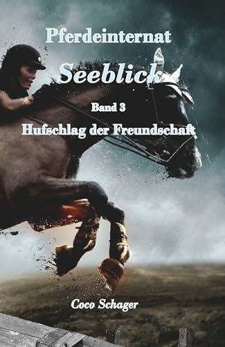 Pferdeinternat Seeblick Band 3: Hufschlag der Freundschaft