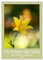 Colors of Nature (Tischkalender 2025 DIN A5 hoch), CALVENDO Monatskalender